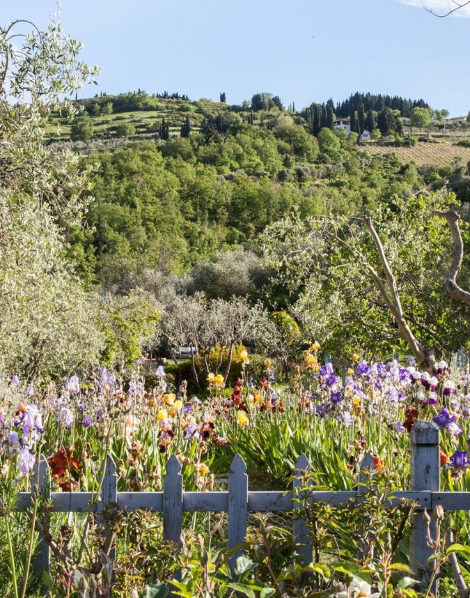 La Primavera in Toscana